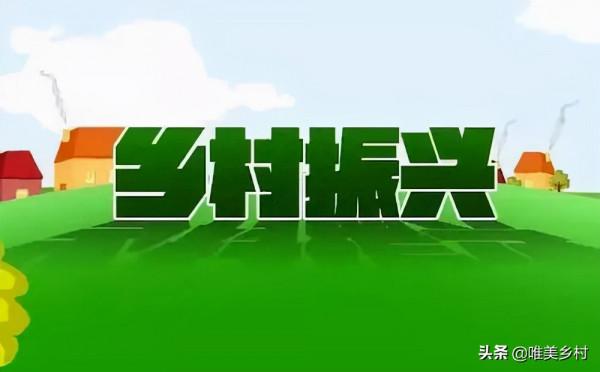 河南首富村淪為負債村？農村集體經濟轉型升級、聯農帶農很關鍵