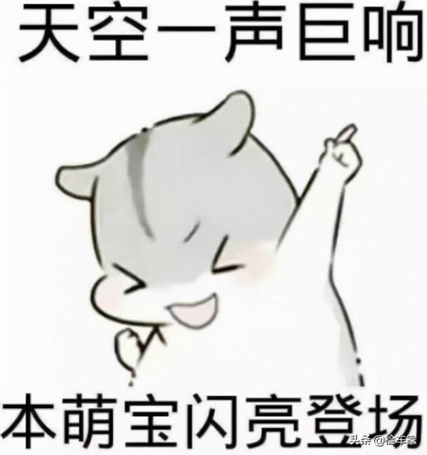 11萬買臺調錶10款大眾途銳，買主：讓它和家裡的輝騰做個伴兒