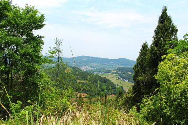 “四川盆底”距成都僅109公里，就在這四個縣的交界處