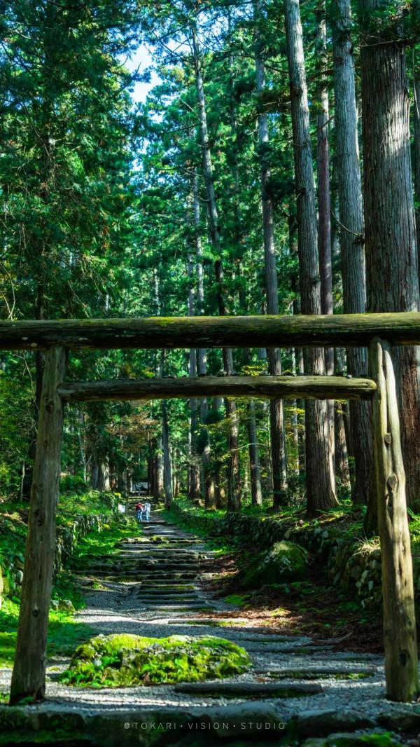 逛逛日本 &vert; 一券在手 遊走日本升龍道夢之旅