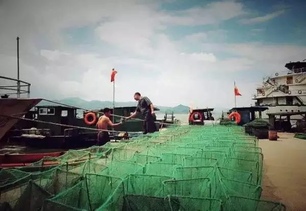 長三角這些美麗安靜的漁村，你去過幾個？