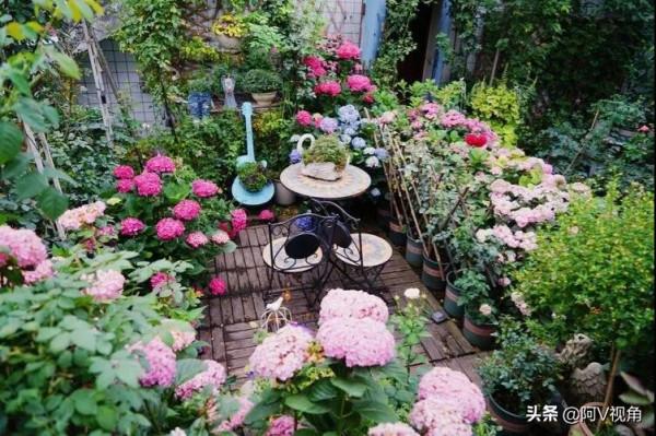 什麼才是人生最幸福的事，2022年我想有個開滿花的院子