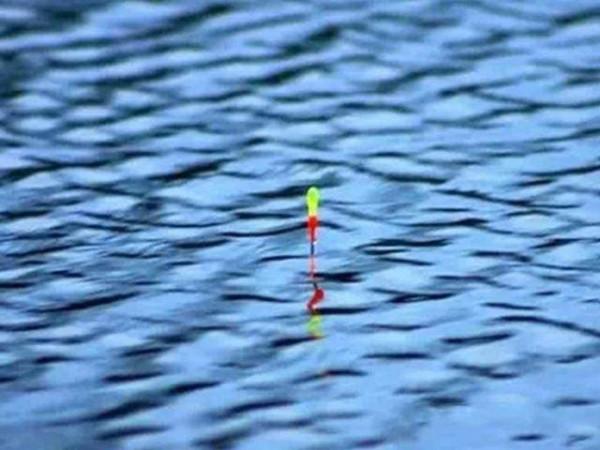 調漂一定要帶鉤嗎? 調漂一定要帶鉤嗎?