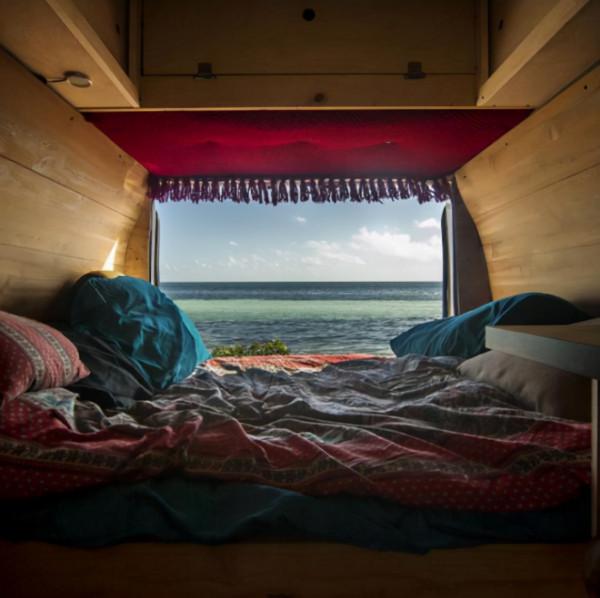 88個難得一見的照片，大象岩石，被章魚攻擊的海豚，飛行員眼鏡