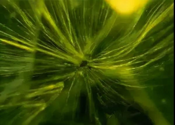 寶知道｜寶石原來也有“指紋”