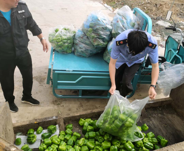 3萬多斤蔬菜被銷燬，網友拍手稱快，農業，日本是我們的榜樣？