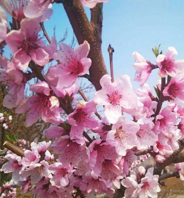 鄉村旅遊產業如何為遊客建構&OpenCurlyDoubleQuote;個人化的、值得回憶&rdquo;的旅遊體驗