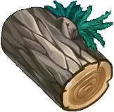 原神擺設製作材料不夠？全木材收集幫助你