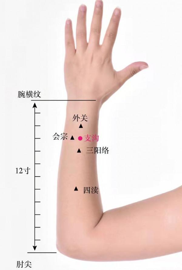 支溝穴——調理便秘的好幫手