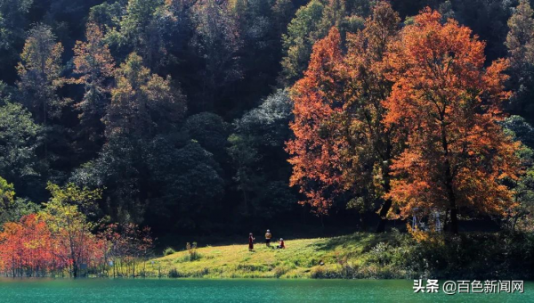 美到不捨得眨眼！來德保，邂逅黑天鵝