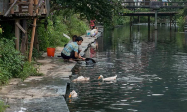 重陽節到，“三月三九月九，沒事別往河邊走”，為何不去河邊走？