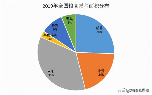 集體化時期人們大面積種植的作物:2、玉米 集體化時期人們大面積種植的作物:2、玉米
