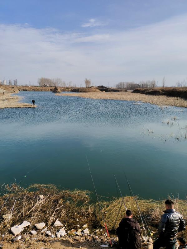 冬季釣魚堅持用小鉤細線軟竿，還要配合抄網