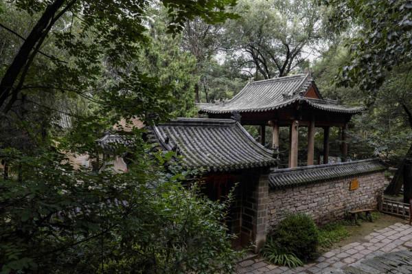 夏日度假好去處，古九州之一青州遊玩攻略