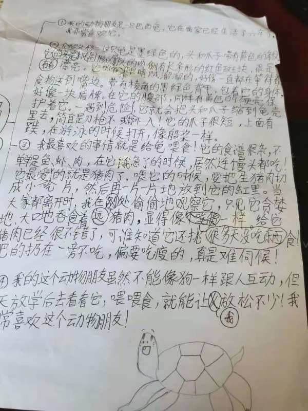 三國演義漫畫——九歲女孩龔佳玥創作 三國演義漫畫——九歲女孩龔佳玥創作