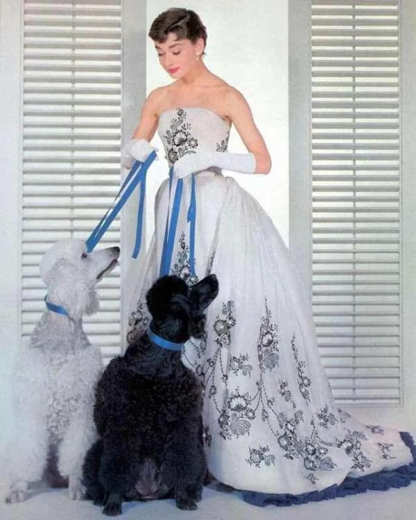 奧黛麗赫本：美人在骨不在皮