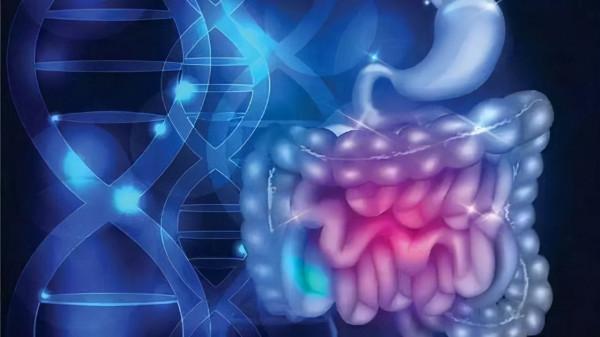 “不死的癌症”克羅恩病，極易被誤診為腸胃炎，確診後無法治癒