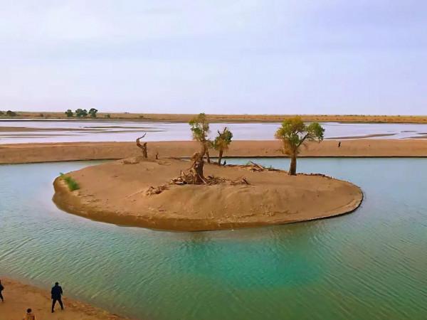 胡楊林，數不盡的人間美景