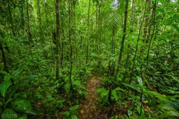 《中國大百科全書（第2版）》讀書筆記01938-巴西