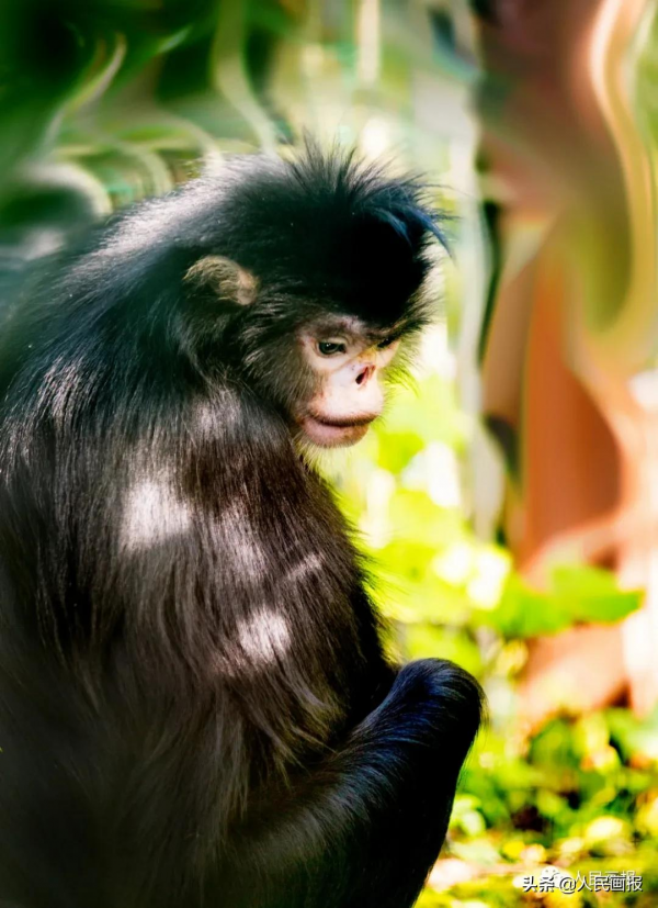 這是你不知道的高黎貢山 這是你不知道的高黎貢山