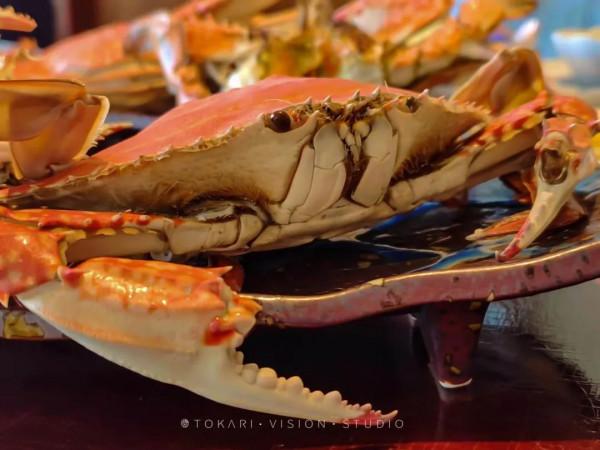 逛逛日本 &vert; 冬遊紀行 樂在九州
