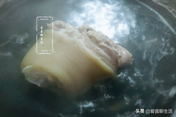 冬補真該吃它，鍋中一燉湯鮮肉嫩，熱乎乎軟糯糯，鮮美滋補又饞人