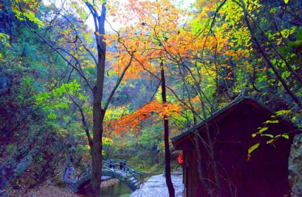 十一還是要來金絲峽，這些色彩你值得深藏
