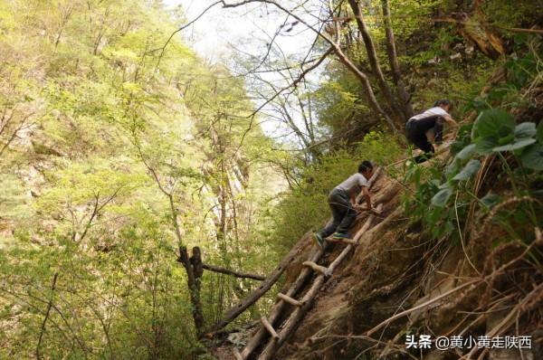探秘東秦嶺,原來從西安到商洛還有這樣一條密道,一路都是風景 探秘東秦嶺,原來從西安到商洛還有這樣一條密道,一路都是風景