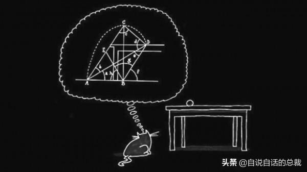 液體貓咪之謎：為什麼說貓都是液體？這竟然是被證明過的科學結論