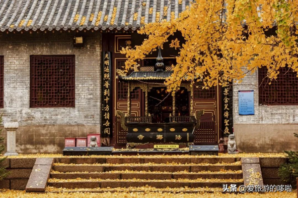 看展喝咖啡、賞壁畫、聽古樂…這座城市的寺廟也太厲害了吧