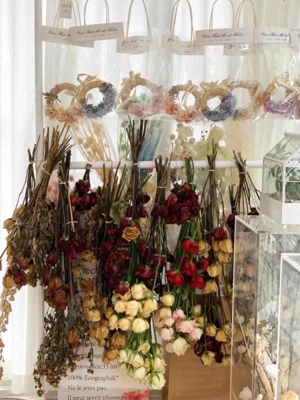 乾花晾制教程 乾花晾制教程