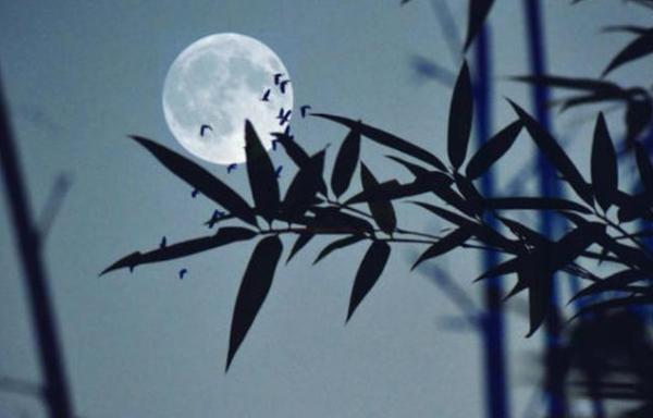 風月滿庭花正香,十二首秋夜的詩詞,一念秋風起 一念相思長 風月滿庭花正香,十二首秋夜的詩詞,一念秋風起 一念相思長