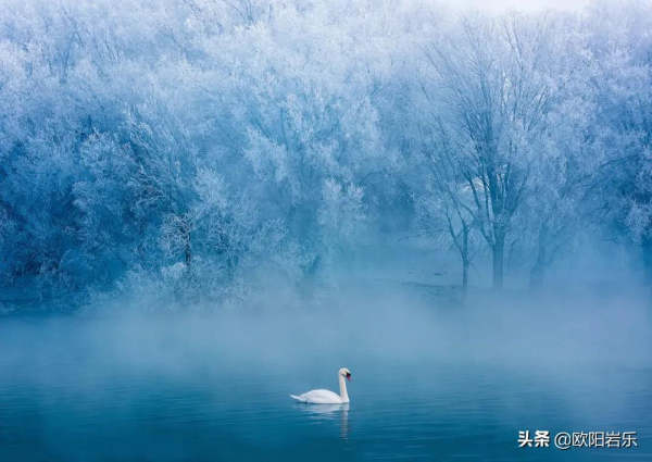 這20個地方藏著中國最美的冬天，2021最後一個月，錯過再等一年