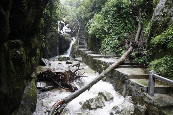 南嶺國家森林公園：廣東天然生態保護屏障，有廣東物種寶庫的美譽