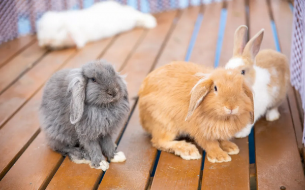 【我們的節日】預備!一起出發~ 【我們的節日】預備!一起出發~