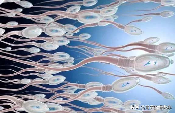 透析相關用藥大全!收藏 透析相關用藥大全!收藏