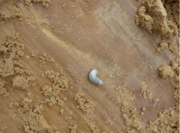 八路軍的“土坦克”真的有用嗎? 八路軍的“土坦克”真的有用嗎?