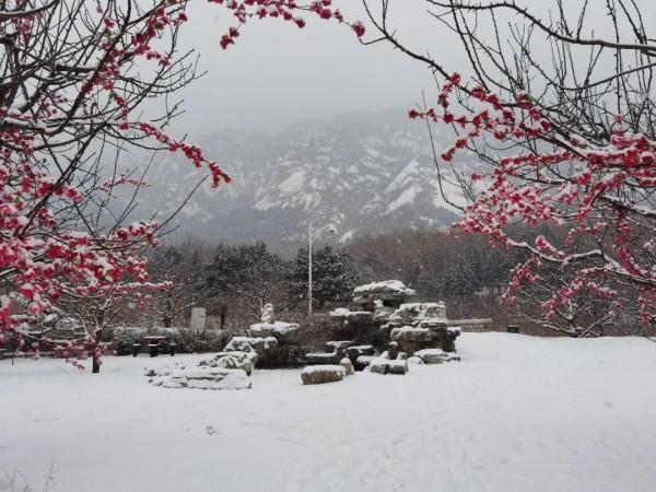 快來看，蘇家坨鎮的雪景美出了圈！