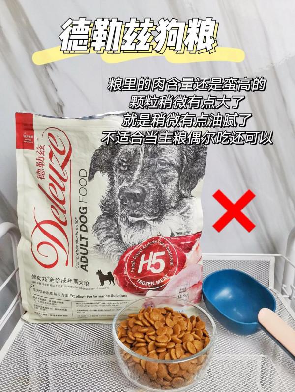 2021狗糧｜誰會是好狗糧呢