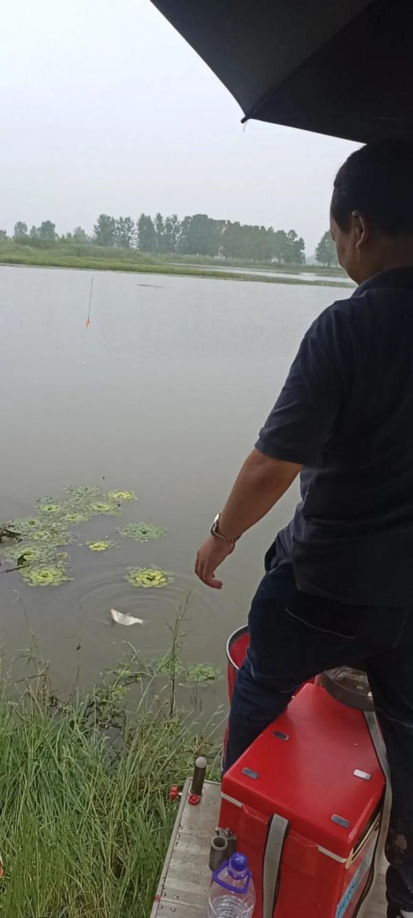 深秋野河釣扁魚的幾點建議