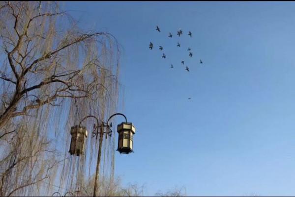 國學成語故事(23)退避三舍:一個年逾花甲落魄“王者”的霸氣承諾(下) 國學成語故事(23)退避三舍:一個年逾花甲落魄“王者”的霸氣承諾(下)