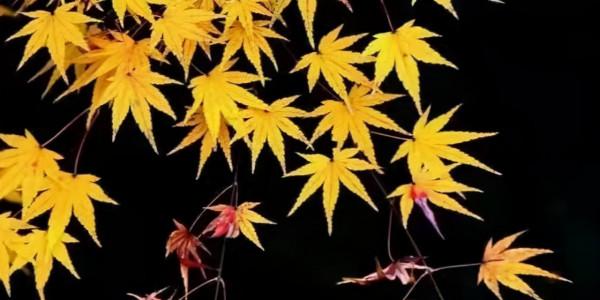 哪些壞習慣會加速衰老（原創）