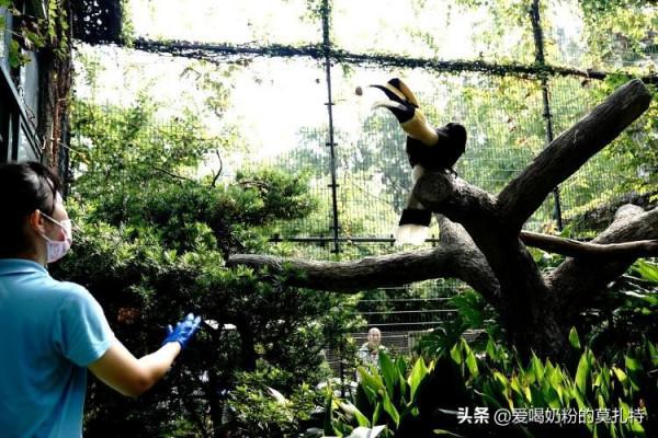 快中秋了，看看動物吃“月餅”過中秋