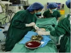 省婦幼保健院產科成功為重度腦積水胎兒行胎兒顱骨穿刺腦脊液抽吸術 省婦幼保健院產科成功為重度腦積水胎兒行胎兒顱骨穿刺腦脊液抽吸術