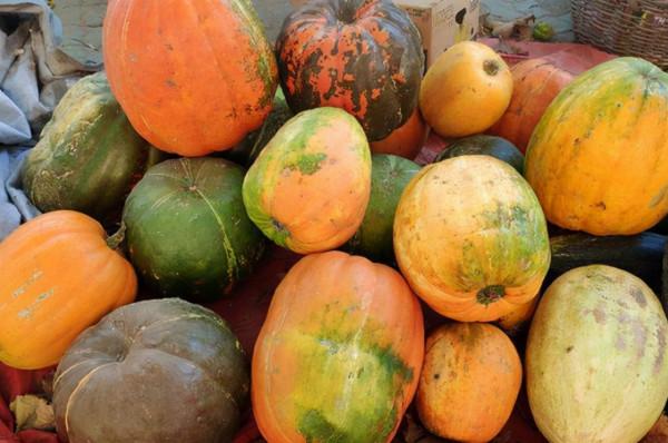 想讓孩子快速長高，建議常給孩子吃這6種蔬菜，爸媽記得收藏