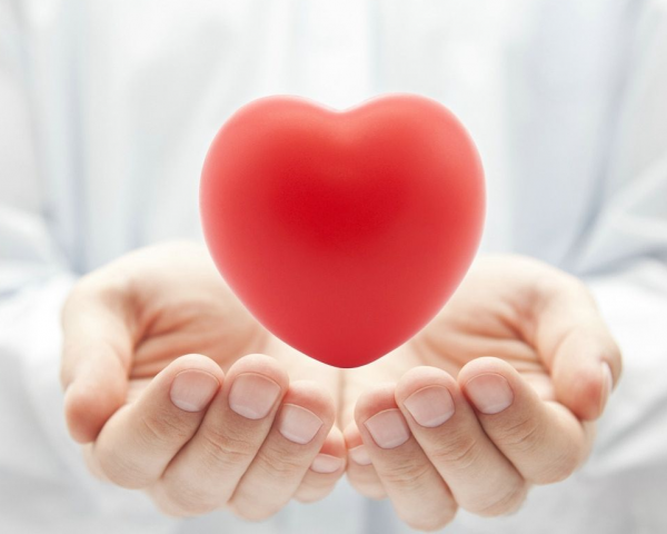 心老失眠,肝老易怒,腎老尿頻,長壽,別讓五臟先老 心老失眠,肝老易怒,腎老尿頻,長壽,別讓五臟先老