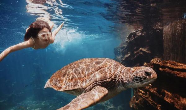 這輩子不後悔學了潛水;水下真的太美好了 這輩子不後悔學了潛水;水下真的太美好了