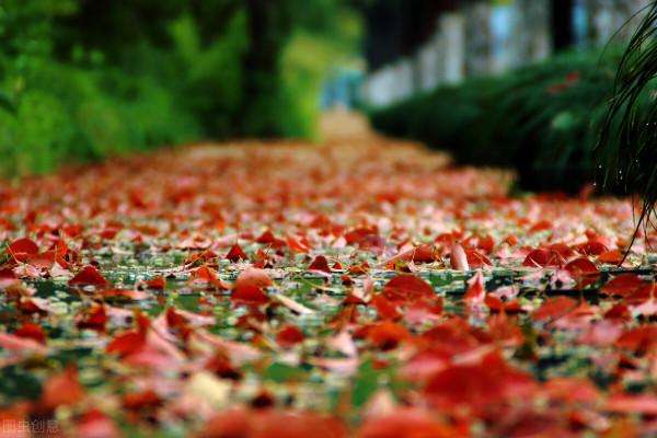 保持飢餓,保持愚鈍 保持飢餓,保持愚鈍