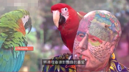 五種不一樣的人類,你能接受哪一種? 五種不一樣的人類,你能接受哪一種?