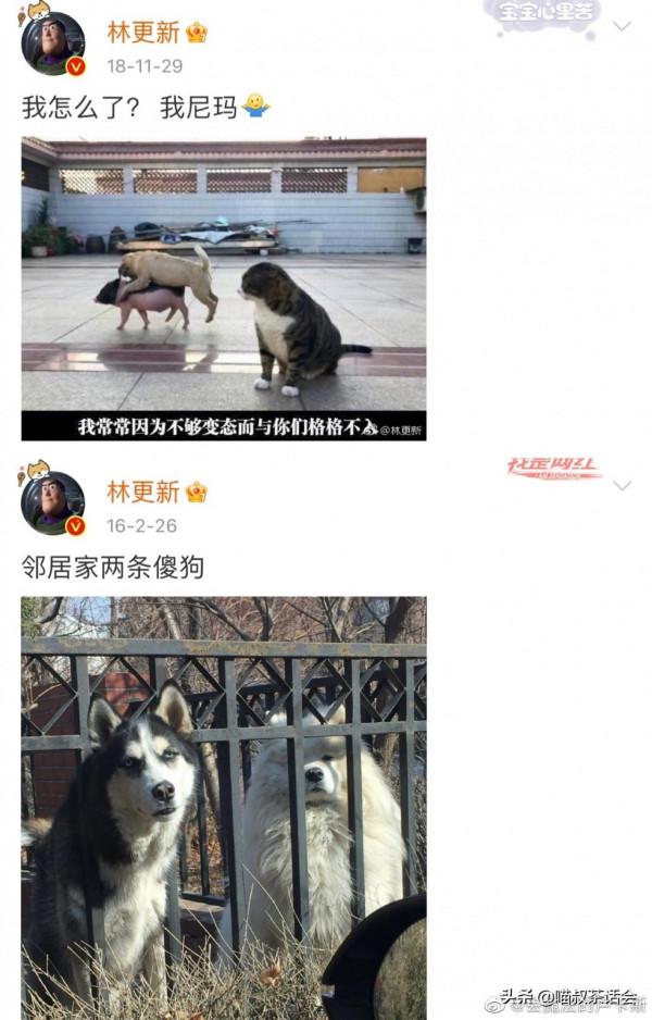 懷念明星把微博當朋友圈發的那個時候，雷佳音太搞笑了